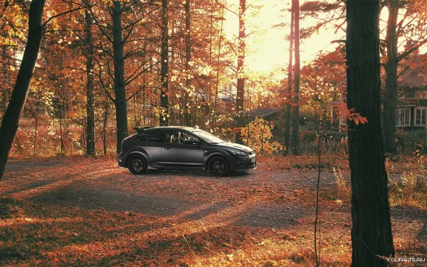 Машина на фоне осеннего леса