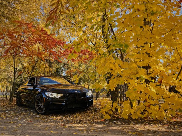 BMW m5 осень