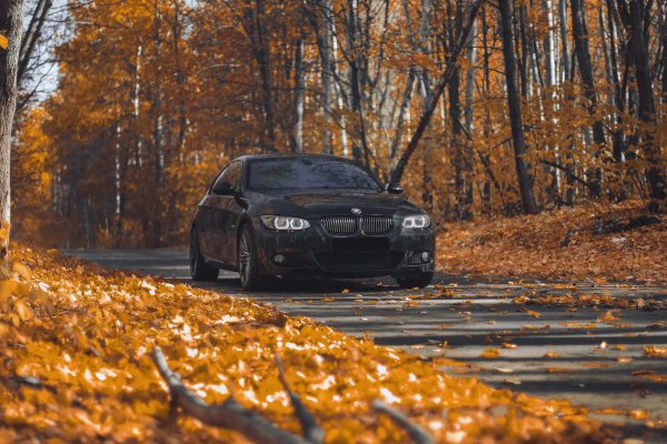 BMW e53 осень