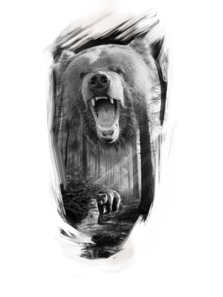 Медведь реализм