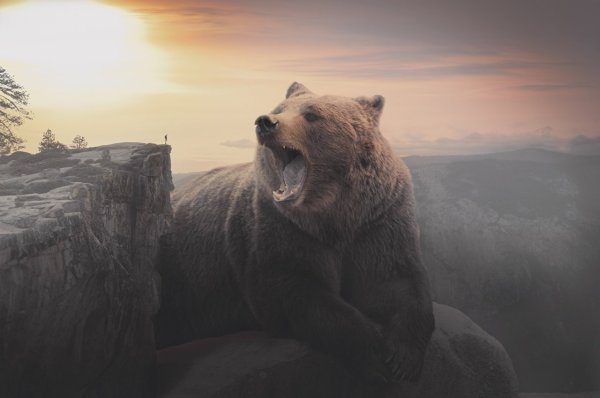 Медведь гора