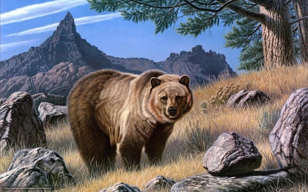 Изображение медведя
