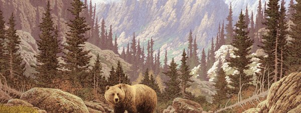 Картина медведь в горах Каравайцев Ивана