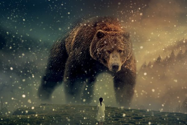 Медведь на фоне леса и гор