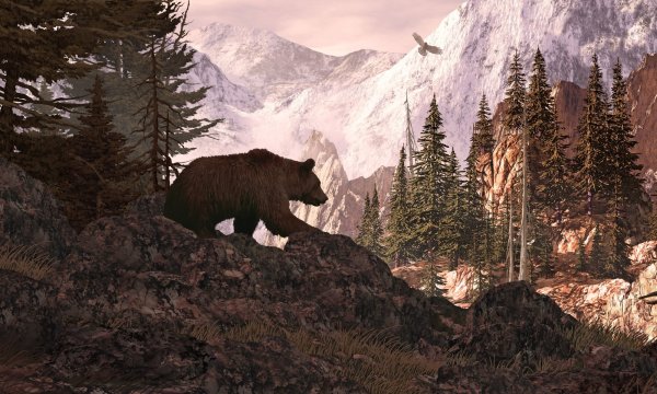 Медведь лес горы