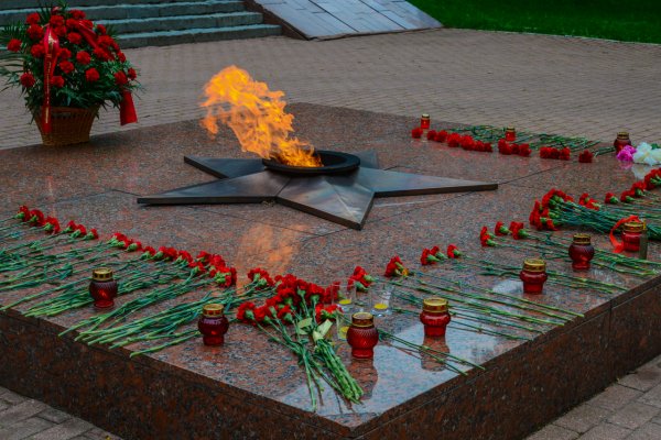 Мемориал Брестская крепость вечный огонь