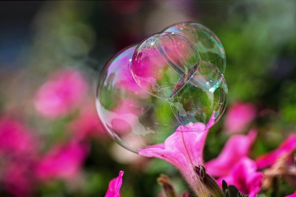 Мыльные пузыри на цветах