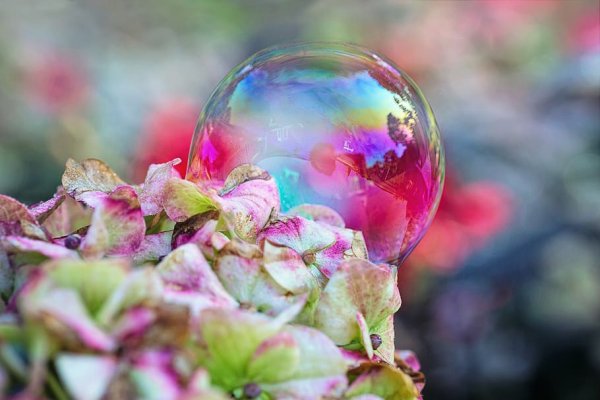 Весна мыльные пузыри