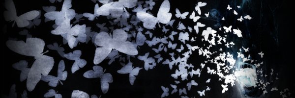 Много белых бабочек на черном фоне