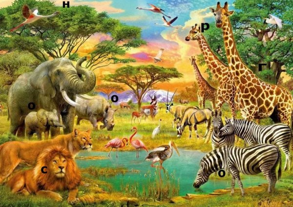 Животные звери саванны Африки