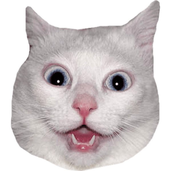 Голова кошки на белом фоне