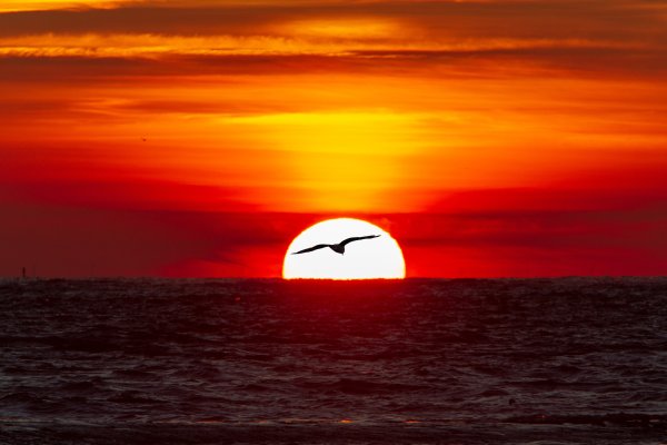 Закат на море большое солнце