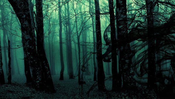 Мрачные фоны лесов