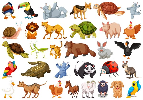 Иллюстрации животных для детей
