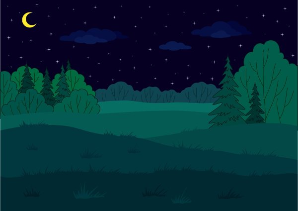Ночной лес для детей