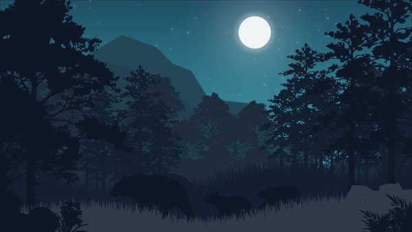 Нарисованный ночной лес