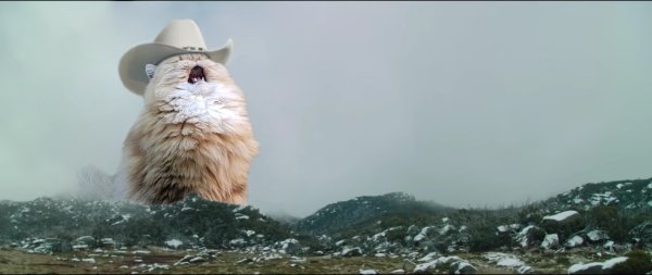 Орущий кот в шляпе в горах