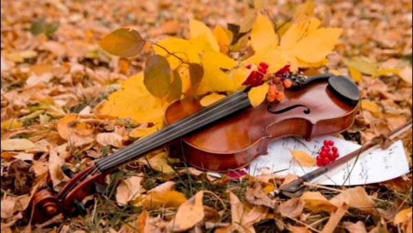 Скрипка осенние листья