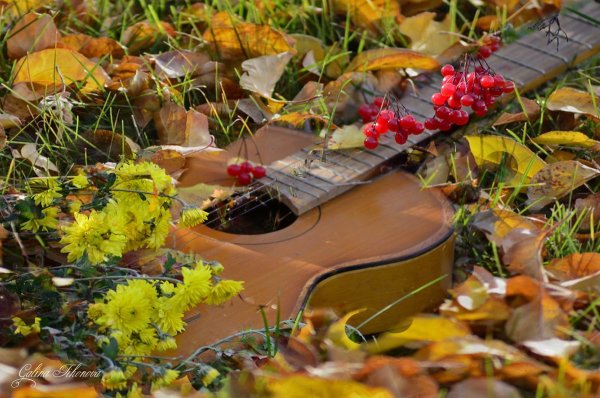 Музыкальная осень