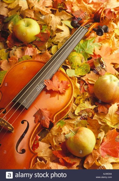 Скрипка осень