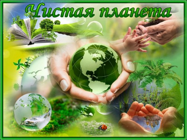 Экология и охрана природы