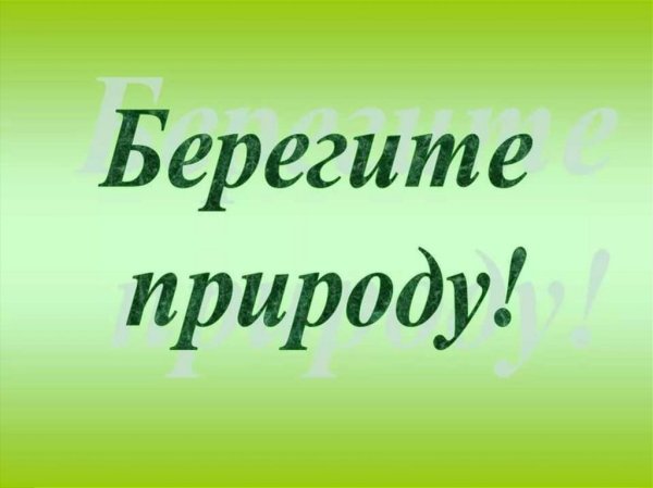 Надпись береги природу