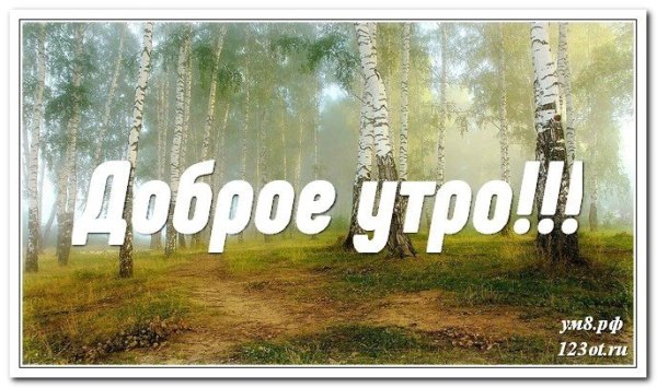 Доброе утро картинки природа