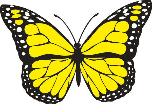 Нарисованная бабочка на белом фоне