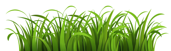 Нарисованная трава фон