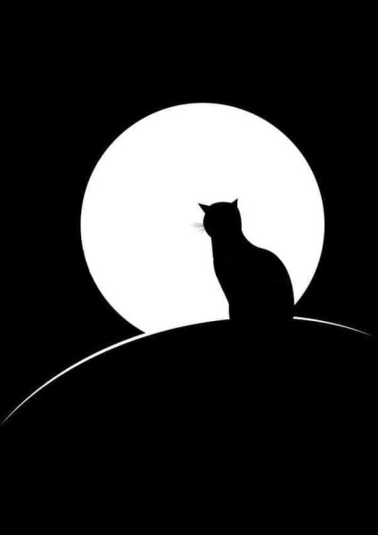 Нарисованные кошки на фоне луны