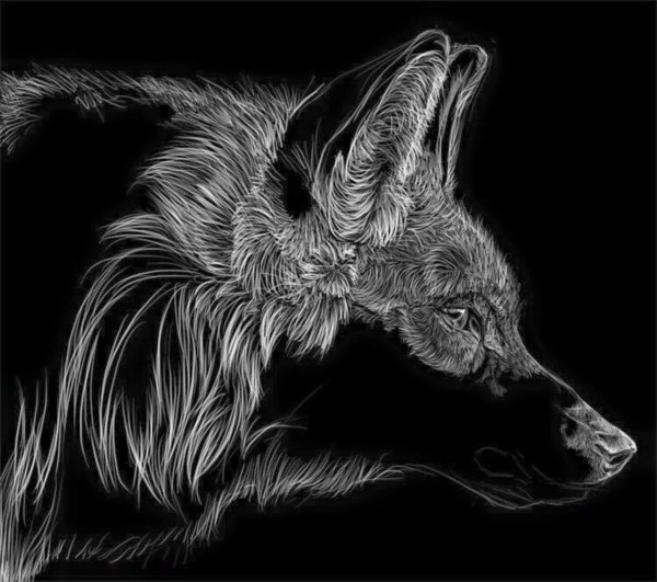Граттаж волк