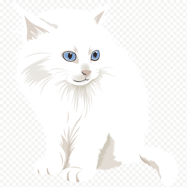 Белый мультяшный кот