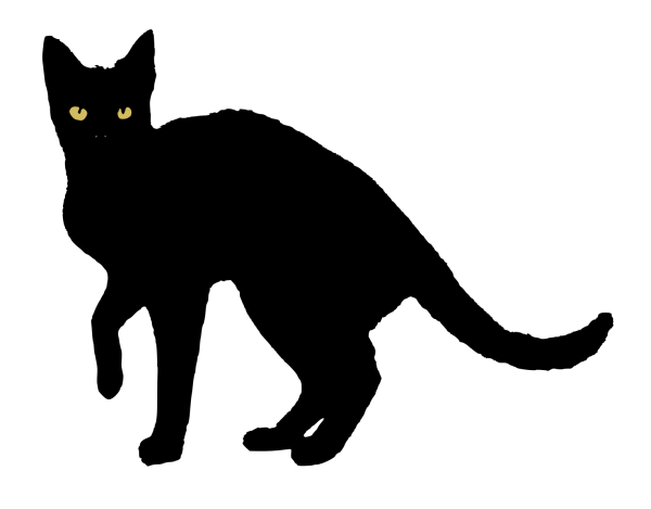 Черная кошка на прозрачном фоне