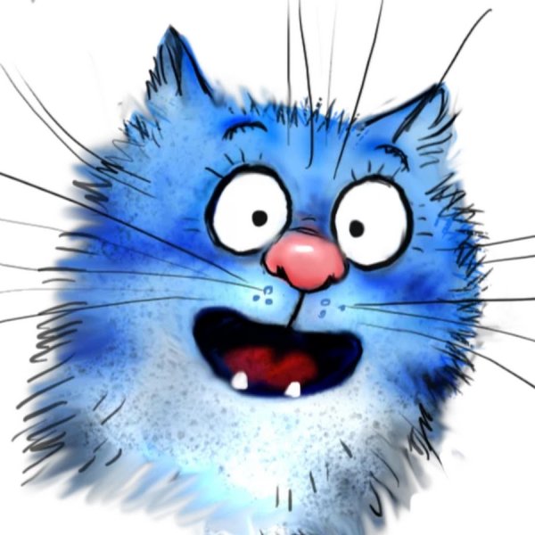 Нарисованный кот на синем фоне