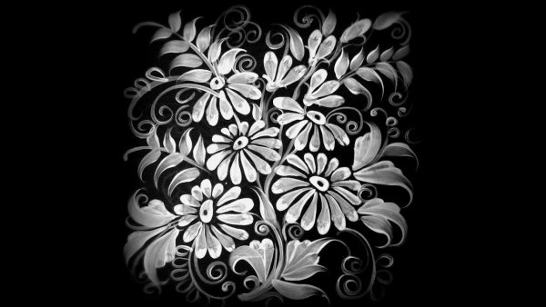 Нарисованные цветы на черном фоне