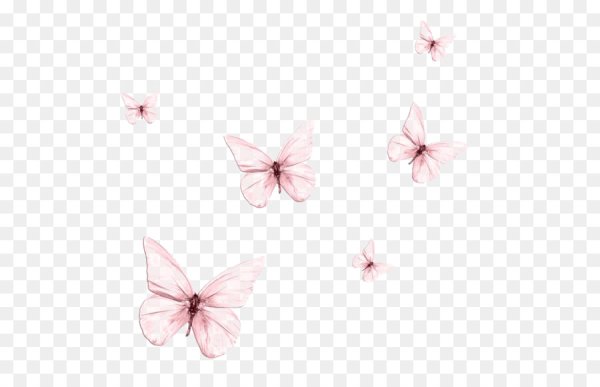 Маленькие бабочки на прозрачном фоне