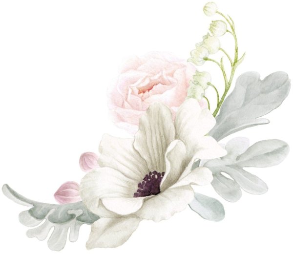 Белые Акварельные цветы