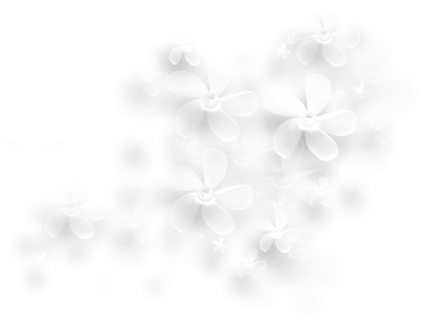 Белые цветы для фотошопа