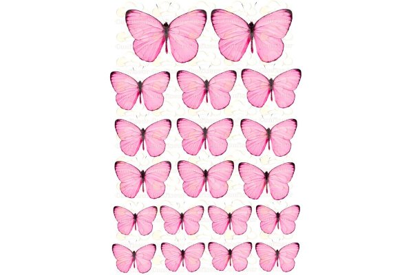Нежно розовые бабочки на белом фоне