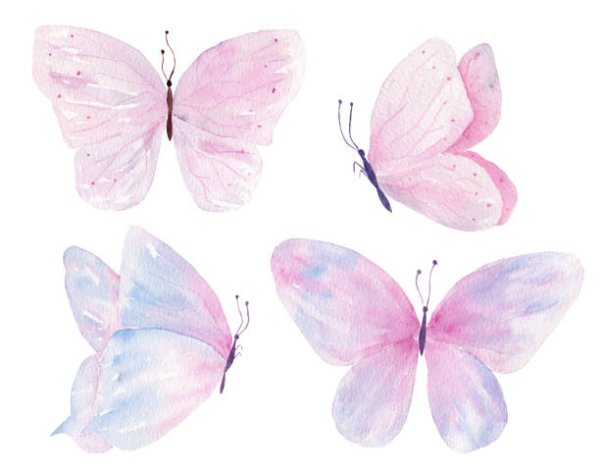 Акварельные розовые бабочки на белом фоне