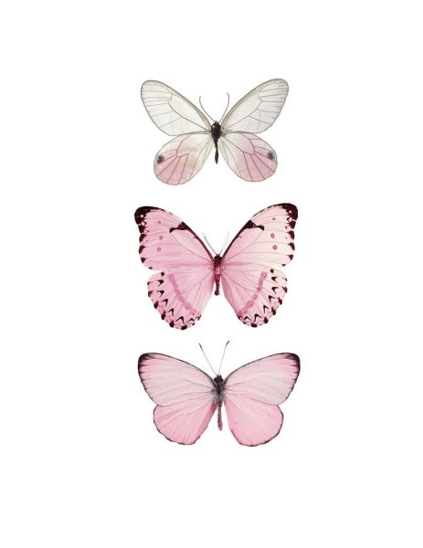 Розовые бабочки фотопечать
