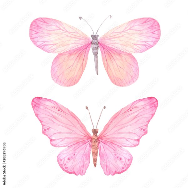 Акварельные бабочки розовые