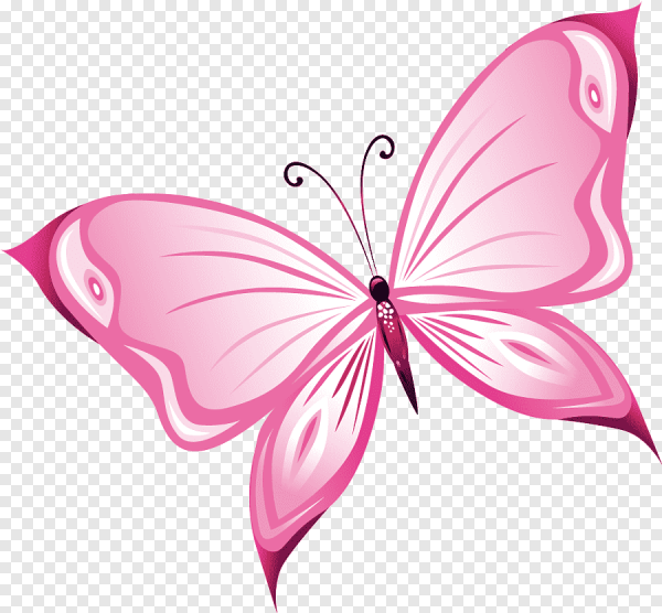 Розовые бабочки на белом фоне