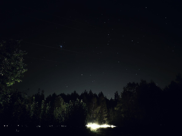 Ночное небо над лесом