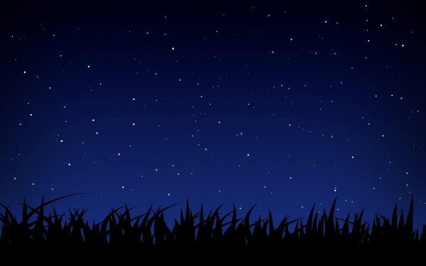 Ночное звездное небо