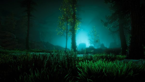 Ночная Полянка в лесу