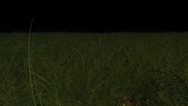 Ночной фон с травой