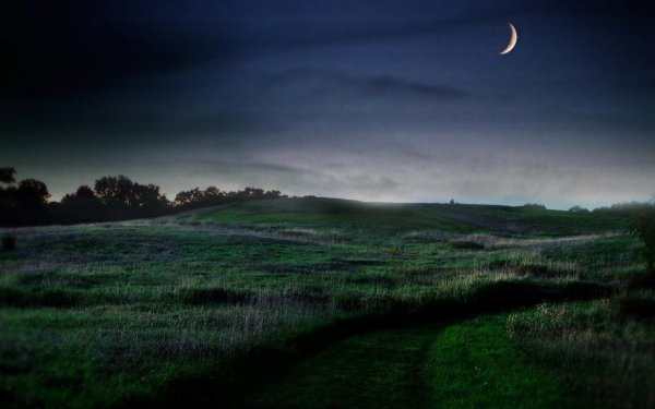 Ночное поле с луной