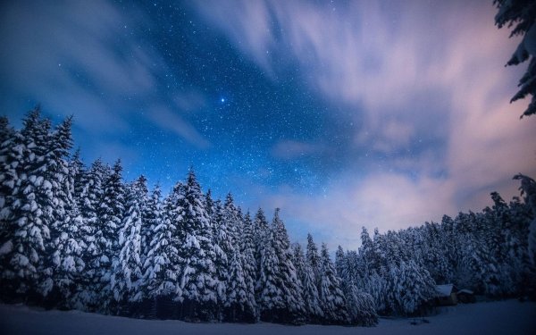 Зимнее ночное небо