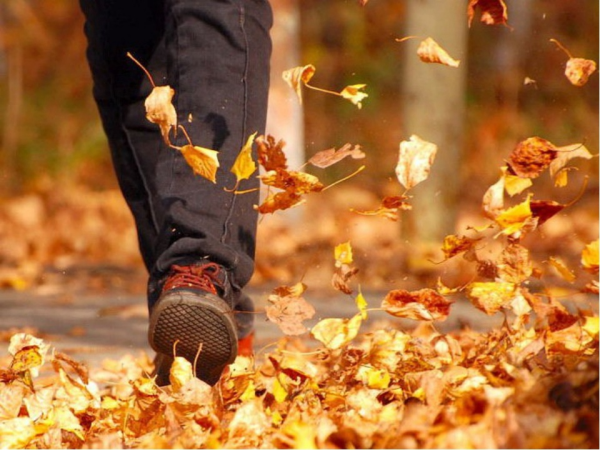 Осенняя листва под ногами